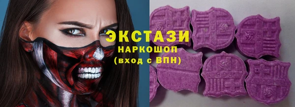 гашик Новозыбков