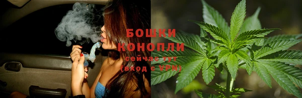 ПСИЛОЦИБИНОВЫЕ ГРИБЫ Нязепетровск