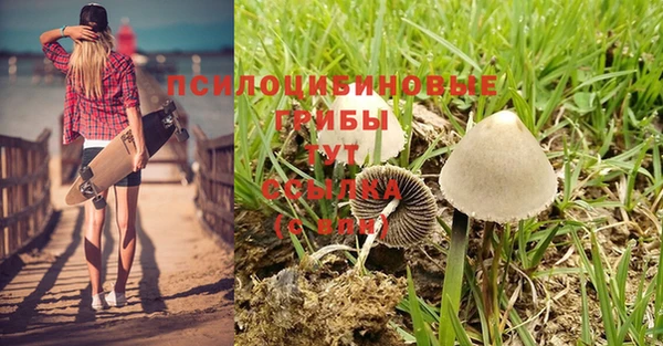 стафф Остров