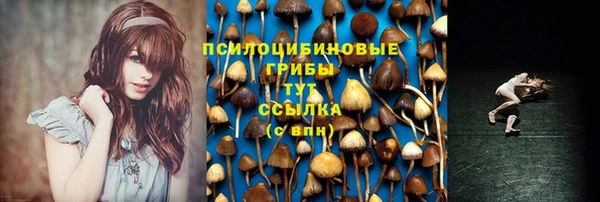 гидра Нягань