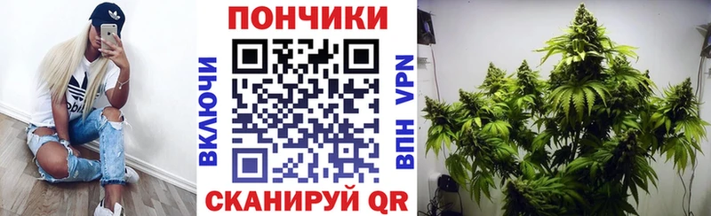 Марихуана план  shop клад  Лермонтов 